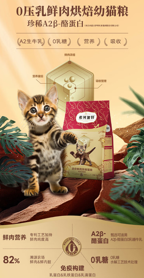 新手养猫幼猫粮选购全指南：弗列加特科学喂养方案