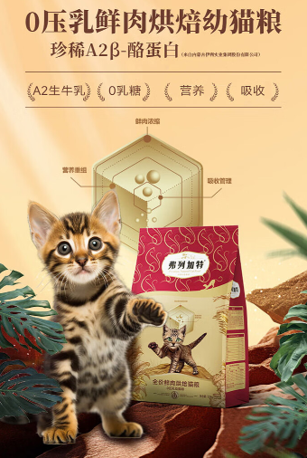 2026年7月 5 款热门幼猫猫粮分享，离乳期到幼年期喂养攻略